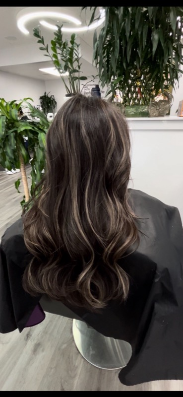 Hair Style 24